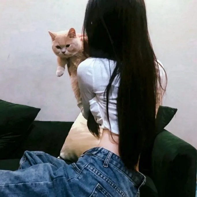 菜鸟新编剧